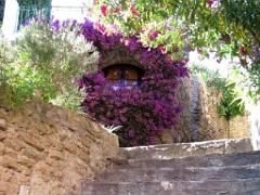 183 D24 BORMES LES MIMOSAS 2_000051